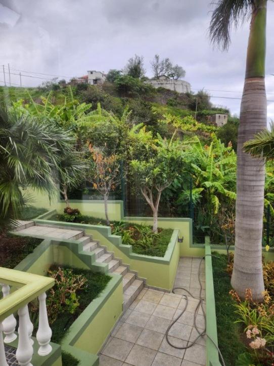 Hikers Haven Villa Sao Roque Do Faial Ngoại thất bức ảnh